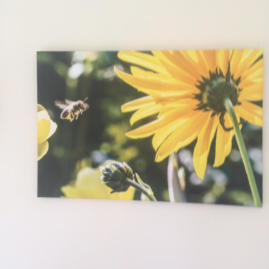 Bumblebee Villa Dartmouth Ngoại thất bức ảnh
